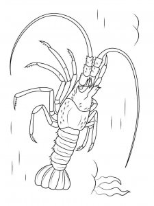 Lobster coloring page - picture 16