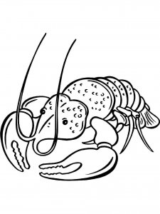 Lobster coloring page - picture 17