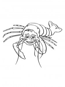 Lobster coloring page - picture 7