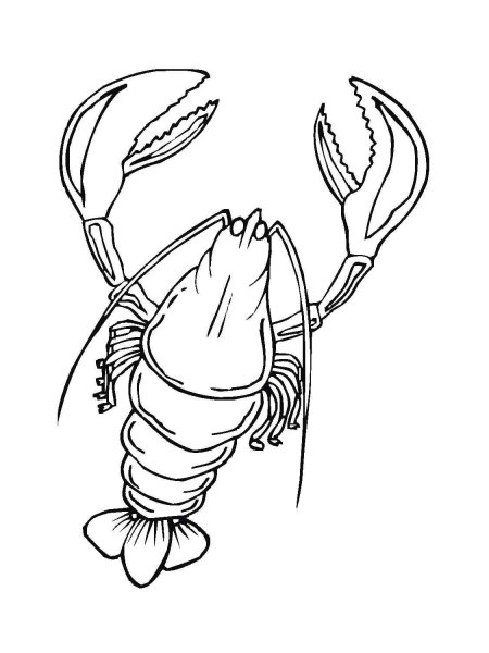 Lobster coloring pages