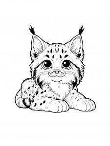 Lynx Coloring Pages 30