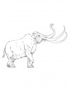 Mammoth coloring page - picture 11