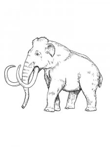 Mammoth coloring page - picture 27