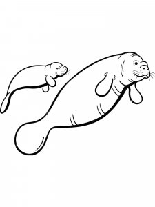 Manatee coloring page - picture 17