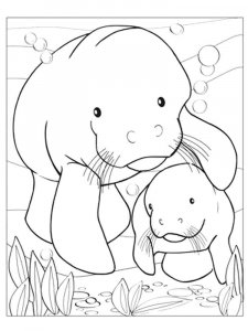 Manatee coloring page - picture 5