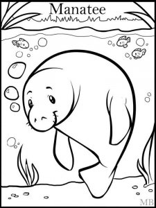 Manatee coloring page - picture 7