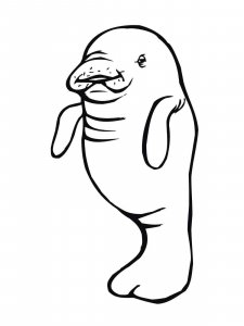 Manatee coloring page - picture 9