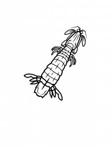 Mantis Shrimp Coloring Pages 2