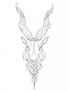 Markhor coloring page - picture 1