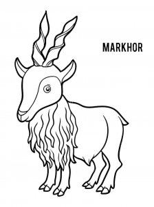 Markhor coloring page - picture 2