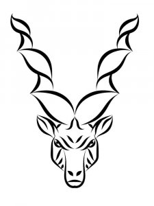 Markhor coloring page - picture 6
