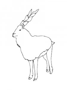 Markhor coloring page - picture 8