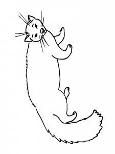 Marten coloring page - picture 1