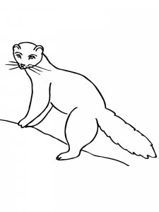 Marten coloring page - picture 2