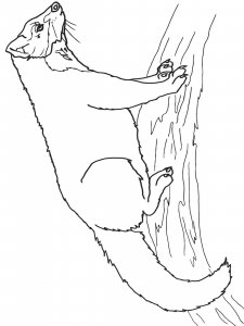 Marten coloring page - picture 7