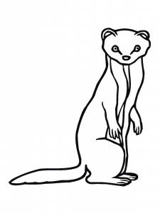Marten coloring page - picture 8