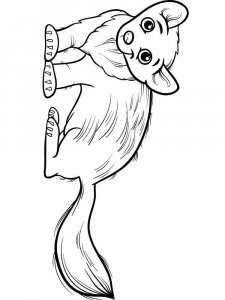 Marten coloring page - picture 9