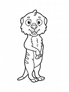 Meerkat coloring page - picture 1