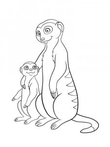 Meerkat coloring page - picture 14