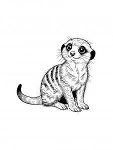 Meerkat Coloring Pages 18