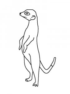 Meerkat coloring page - picture 3