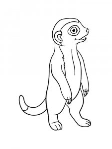 Meerkat coloring page - picture 4