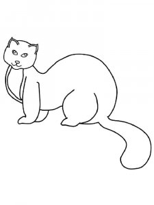Mink coloring page - picture 1