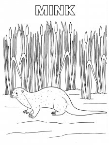 Mink coloring page - picture 5