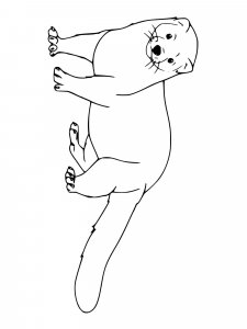 Mink coloring page - picture 8