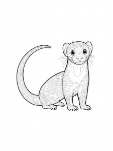 Mongoose Coloring Pages 16