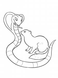 Mongoose coloring page - picture 2