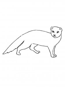 Mongoose coloring page - picture 5