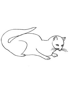 Mongoose coloring page - picture 6