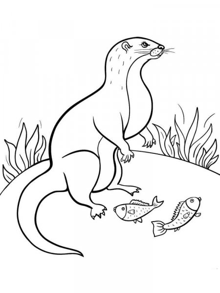 Mongoose coloring pages