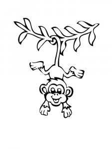 Monkey Coloring Pages 101