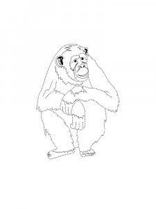 Monkey Coloring Pages 73