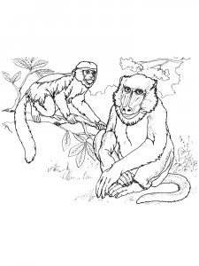 Monkey Coloring Pages 74