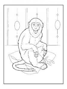 Monkey Coloring Pages 75