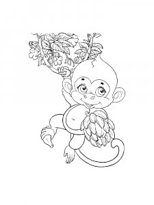 Monkey Coloring Pages 77