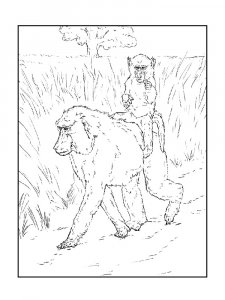 Monkey Coloring Pages 81