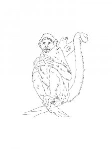 Monkey Coloring Pages 84