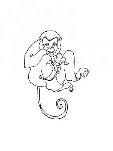 Monkey Coloring Pages 86