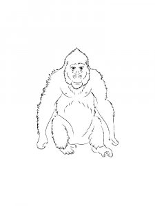 Monkey Coloring Pages 87