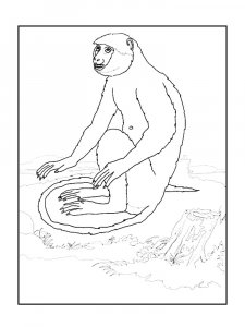 Monkey Coloring Pages 89