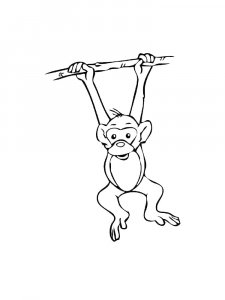 Monkey Coloring Pages 91