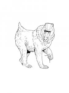 Monkey Coloring Pages 93