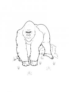 Monkey Coloring Pages 97