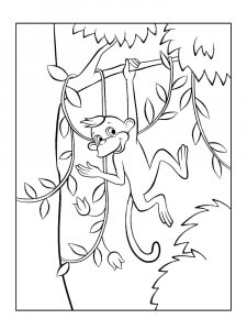 Monkey Coloring Pages 99