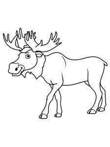 Moose coloring page - picture 22