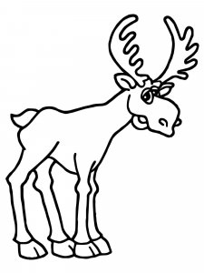 Moose coloring page - picture 24
